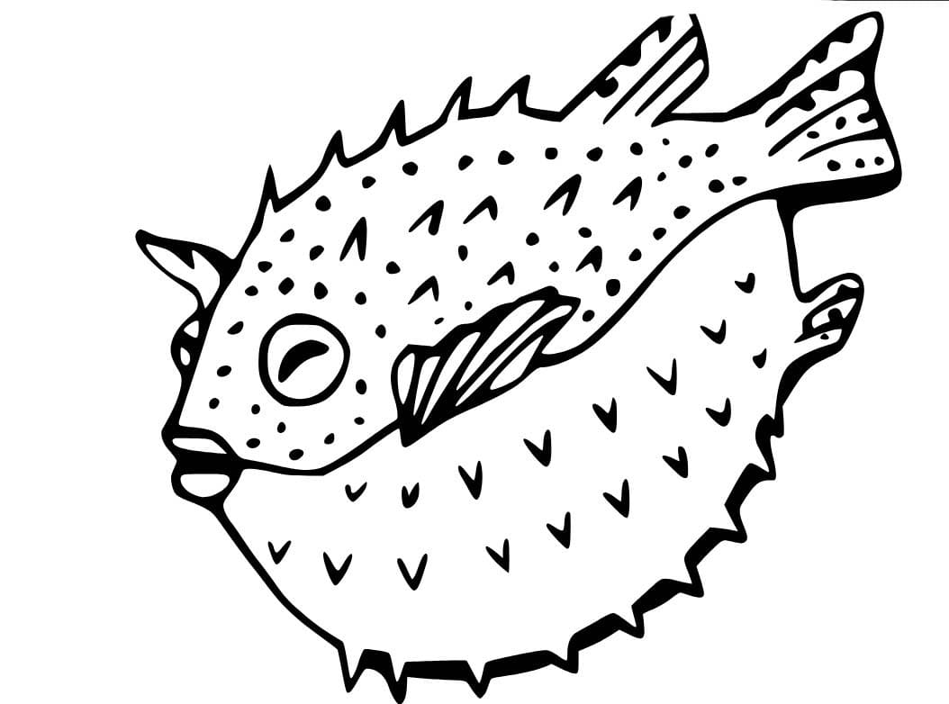 単純 フグ 描く ぬりえ