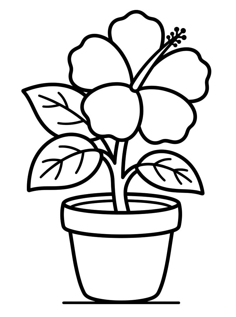 単純 ハイビスカス 描く ぬりえ