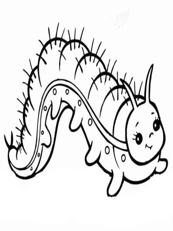 単純 イモムシ ぬりえ