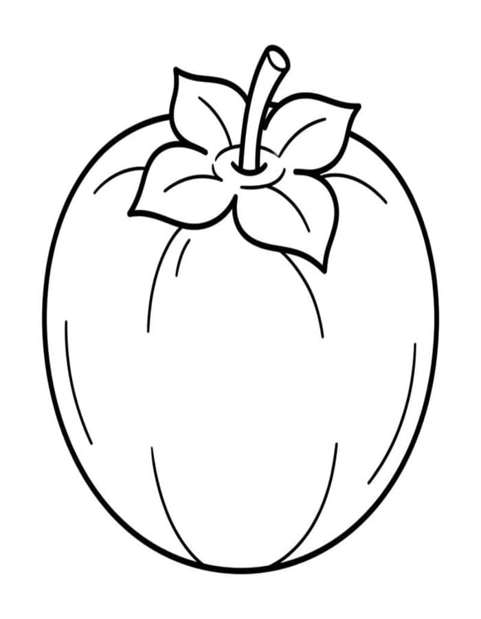 単純 柿の実 描く ぬりえ