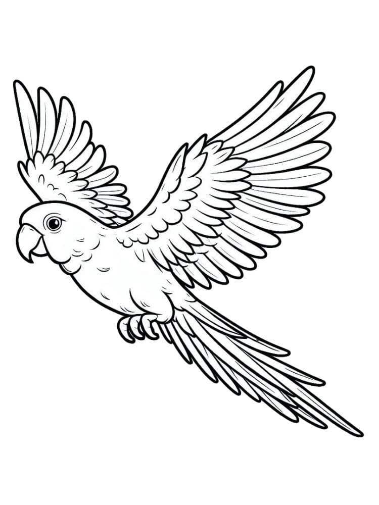 鳥 簡単 ぬりえ