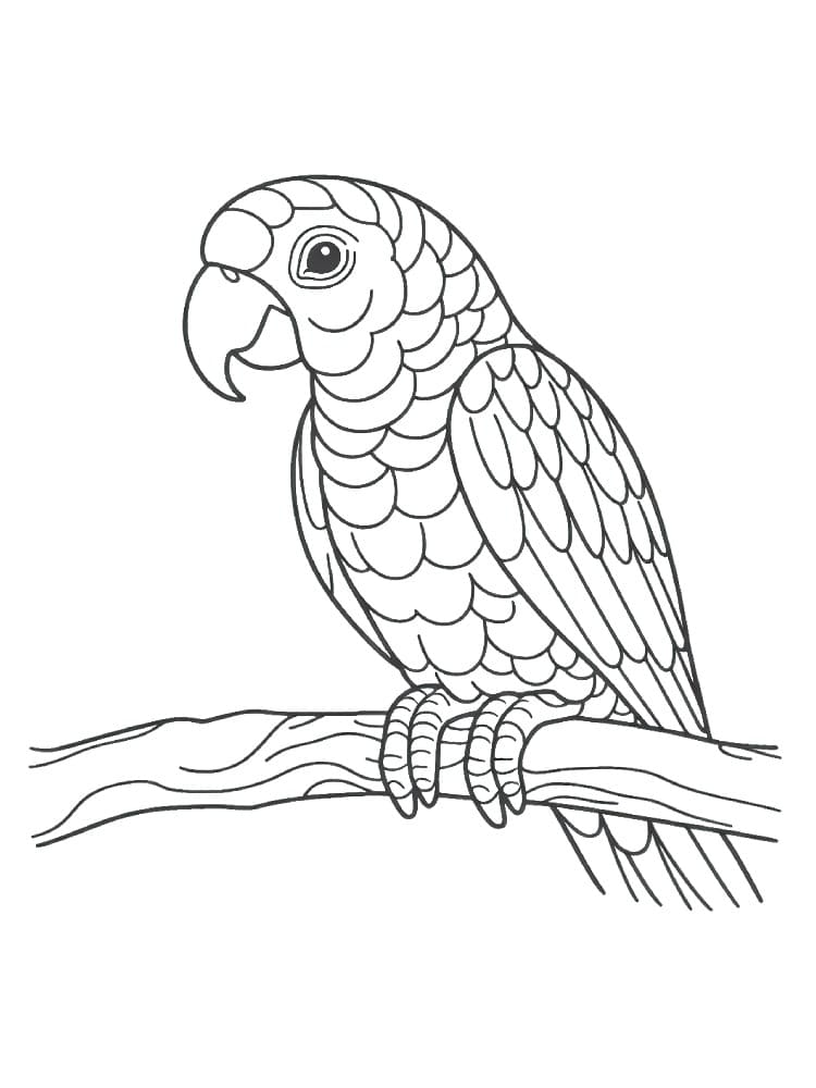 鳥 基本的な ぬりえ