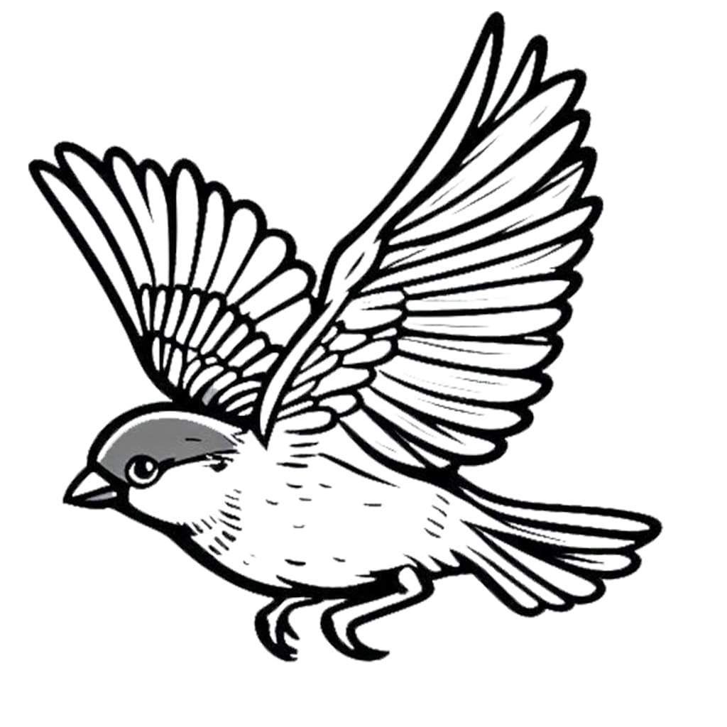 鳥 無料 ぬりえ