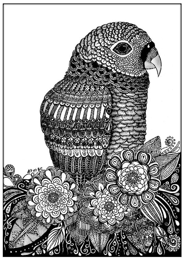 鳥のゼンタングル ぬりえ