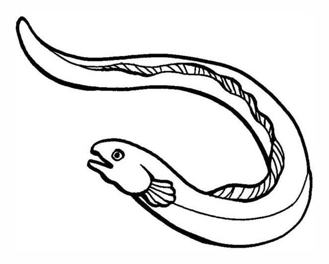 うなぎ 描画 ぬりえ