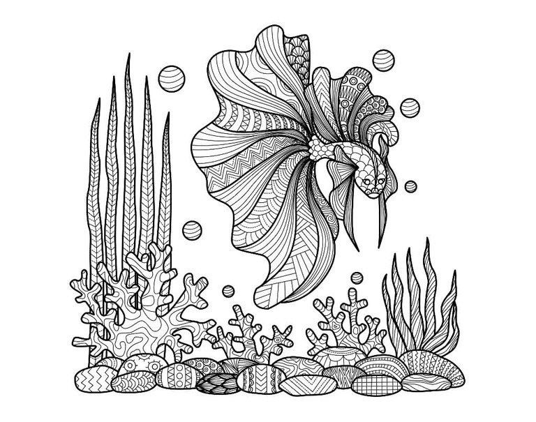 美しい魚のゼンタングル ぬりえ