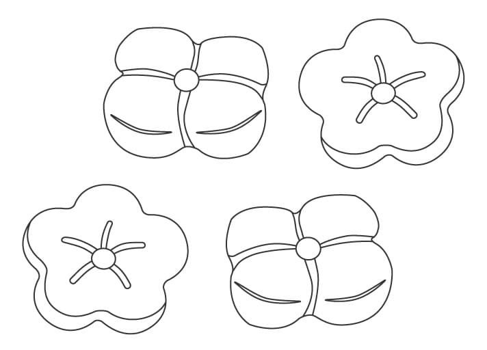 和菓子の絵を描く ぬりえ