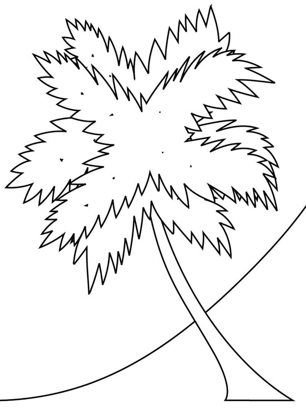 ヤシの木 簡単 ぬりえ