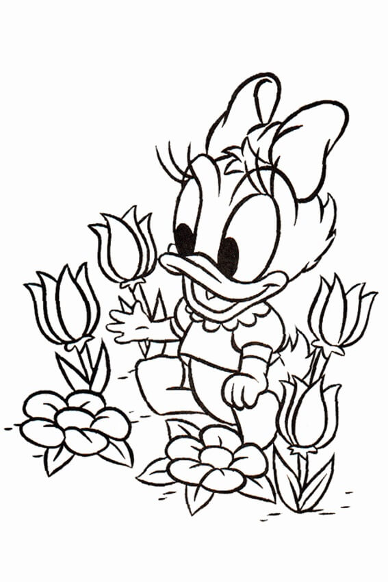 新品★デイジーダック Daisy Duck アヒル デイジー ダック 油絵風 絵 楽天市場】【取寄せ】 ディズニー US公式商品 デイジーダック