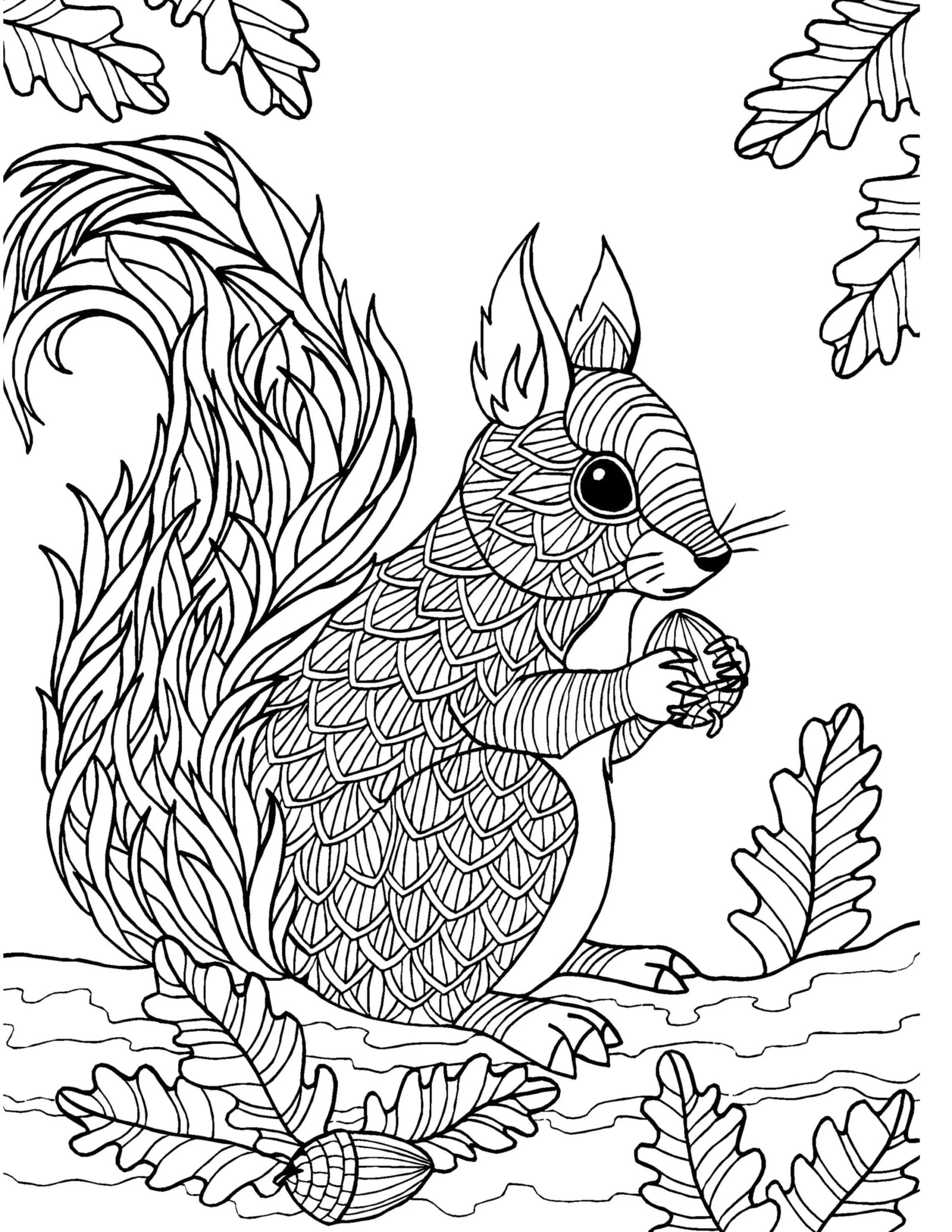 Fall Squirrel Coloring Page Coloring Pages | SexiezPicz Web Porn